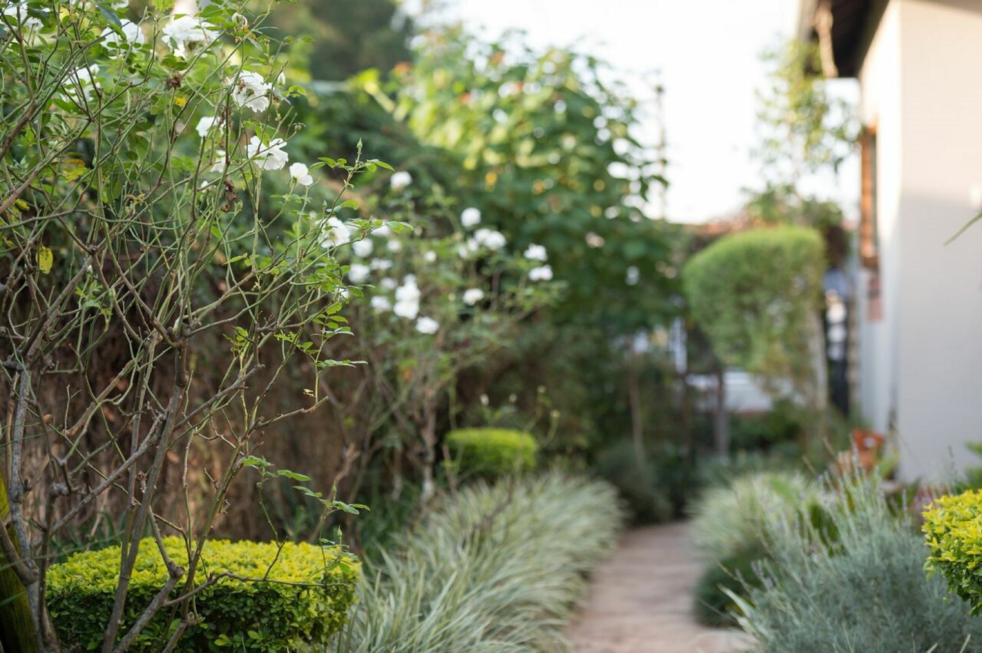 Jean-Lee Bed And Breakfast ปีเตอร์มาริตซ์เบิร์ก ภายนอก รูปภาพ